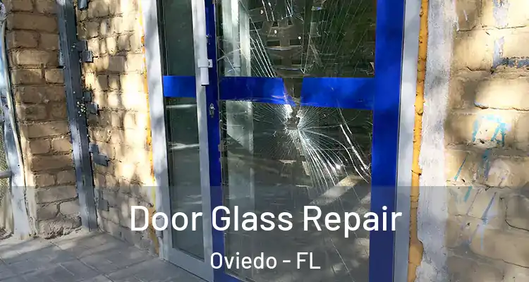  Door Glass Repair Oviedo - FL