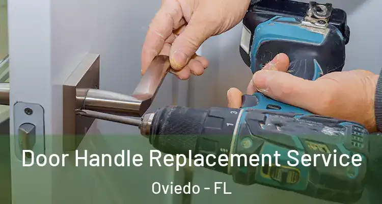  Door Handle Replacement Service Oviedo - FL