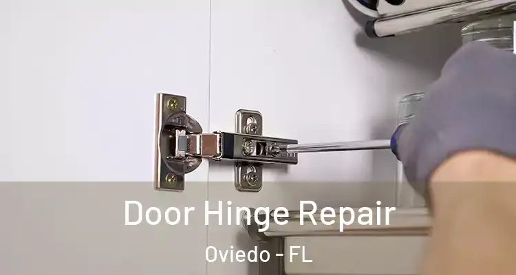  Door Hinge Repair Oviedo - FL