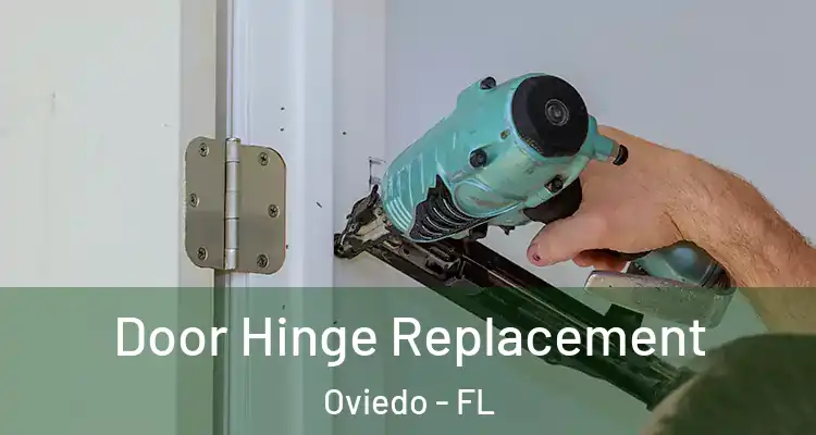  Door Hinge Replacement Oviedo - FL