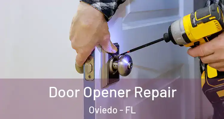  Door Opener Repair Oviedo - FL