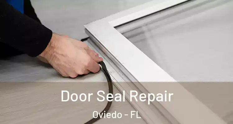  Door Seal Repair Oviedo - FL