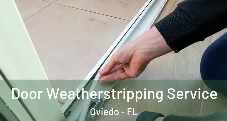  Door Weatherstripping Service Oviedo - FL