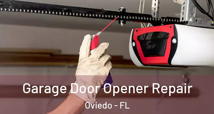  Garage Door Opener Repair Oviedo - FL