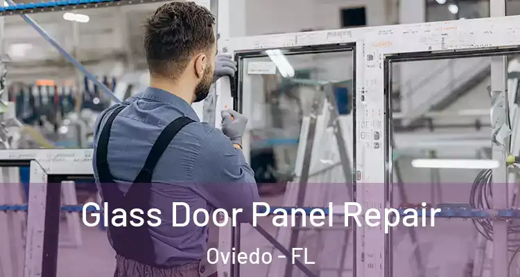  Glass Door Panel Repair Oviedo - FL
