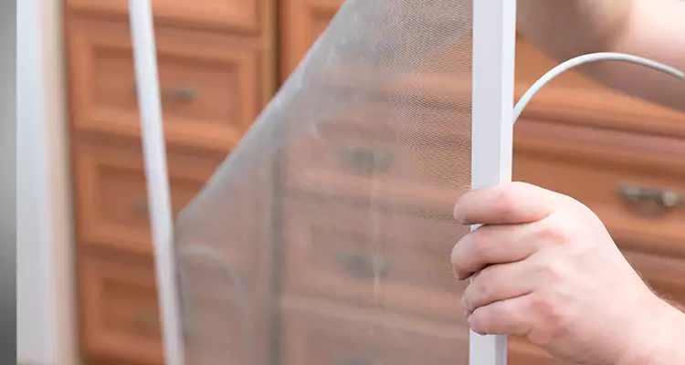 Privacy Mesh Screen Door Installation in Oviedo, FL